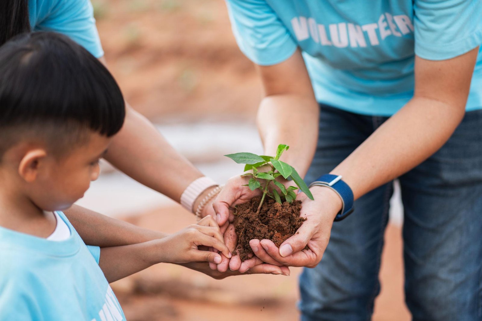 Plantation is necessary at Fortune Heights.